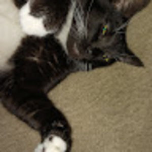 Meet your Posher, Nancy